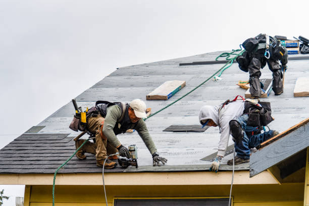 Professional Storm Damage Roof Repair technician working in Redding, IA